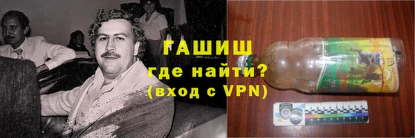молекула духа Богданович