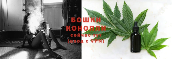 молекула духа Богородск