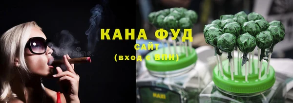 молекула духа Богданович