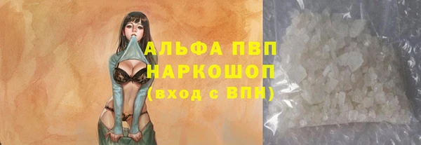 молекула духа Богданович