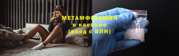 молекула духа Богданович