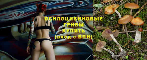 молекула духа Богданович