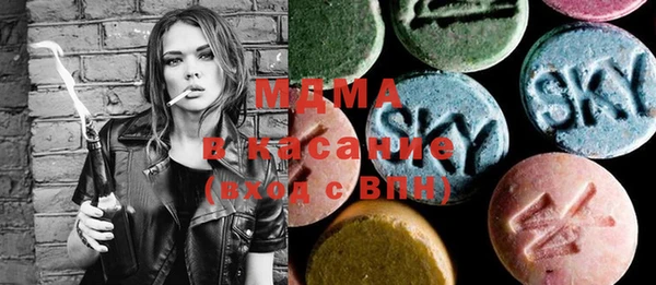 молекула духа Богданович