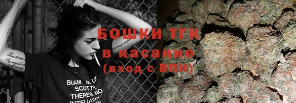 молекула духа Богородск