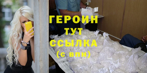 молекула духа Богданович