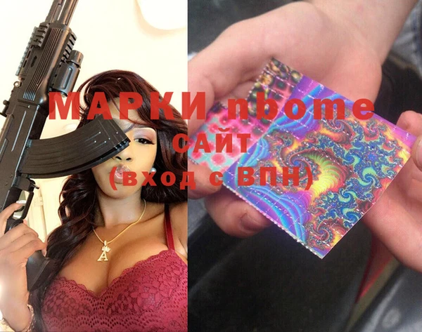 молекула духа Богданович