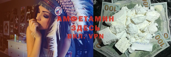 молекула духа Богданович