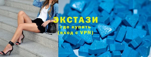 молекула духа Богданович